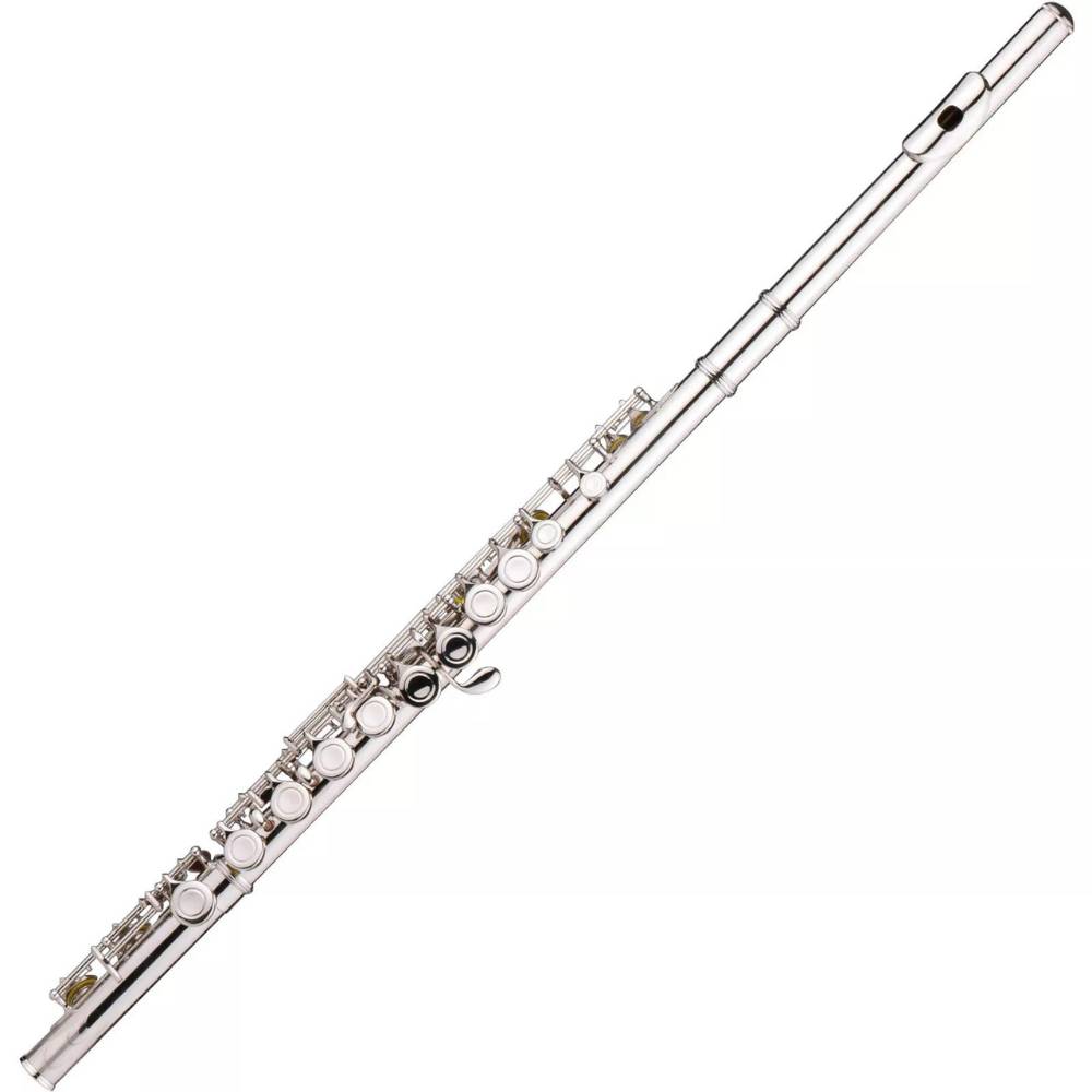 Instrument Flute | Flute Musical Instrument | Beginner Flute: image 4