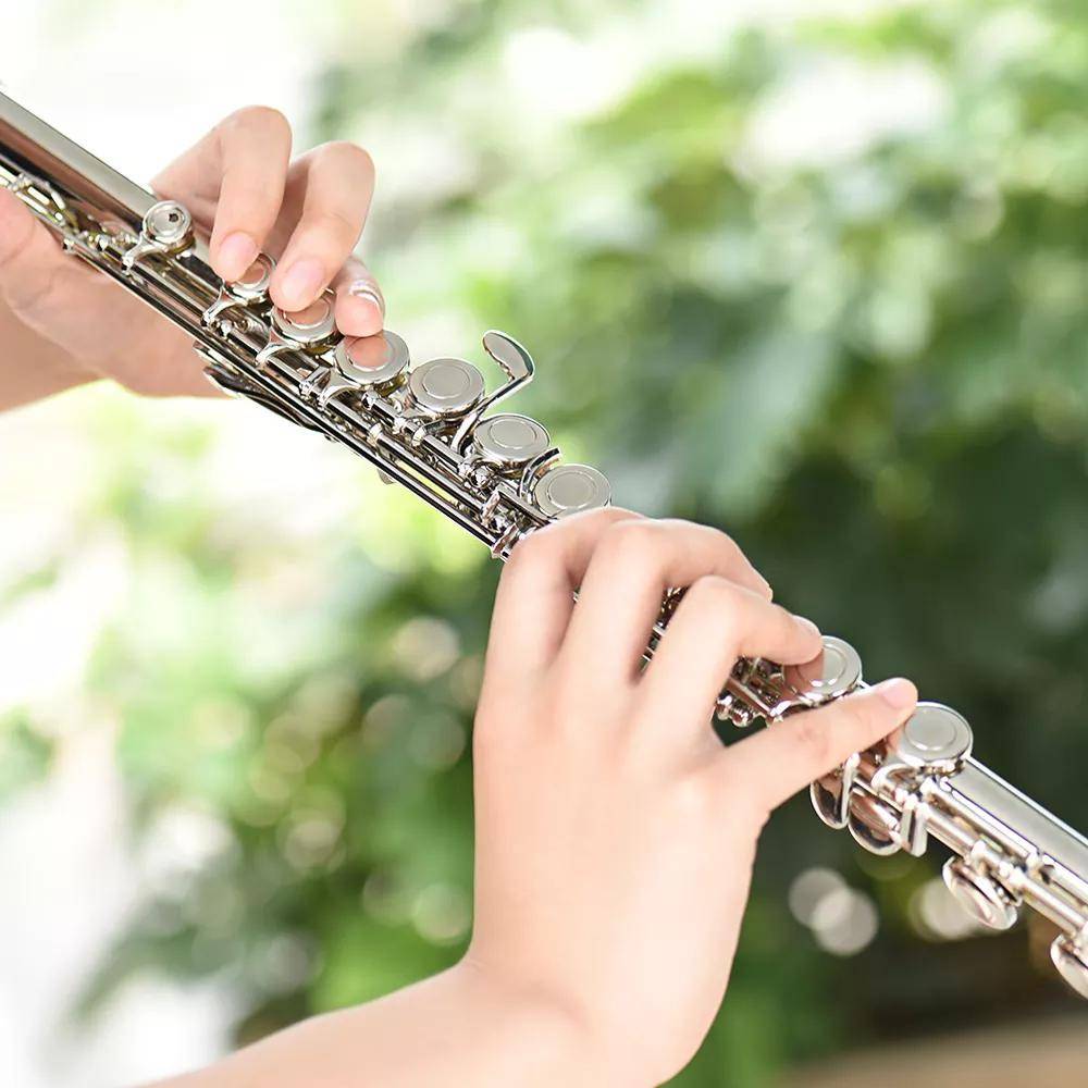 Instrument Flute | Flute Musical Instrument | Beginner Flute