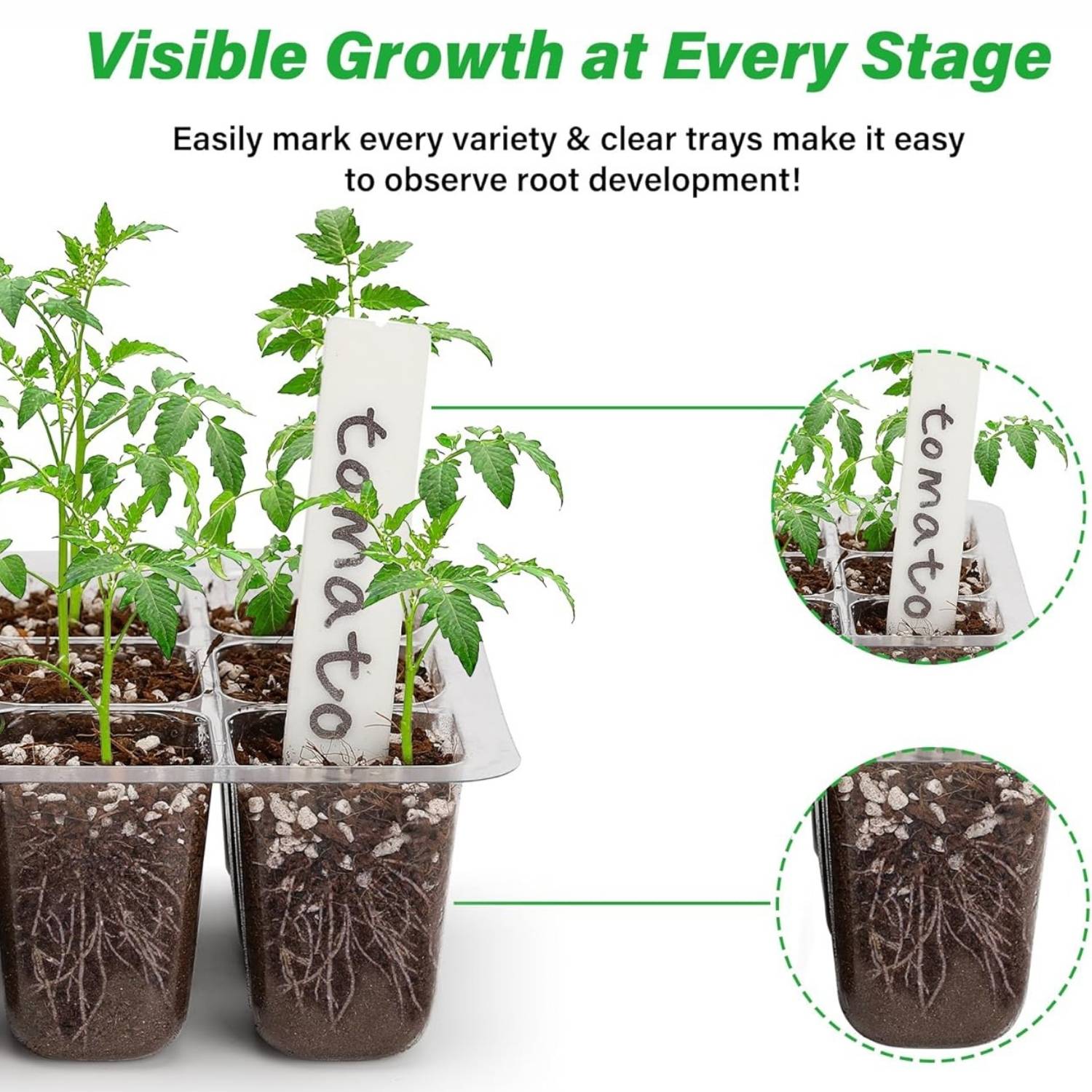 Starter Trays For Seeds | Plant Seedling Trays | Seedling Trays With Lids