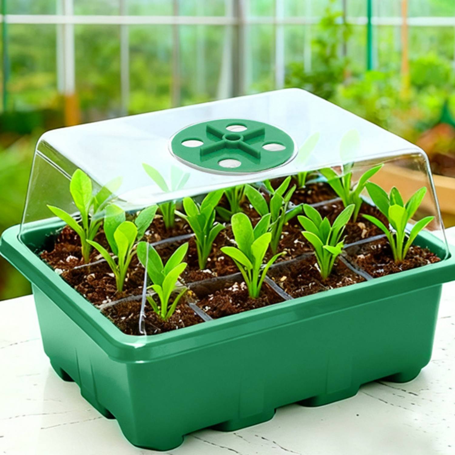 Starter Trays For Seeds | Plant Seedling Trays | Seedling Trays With Lids