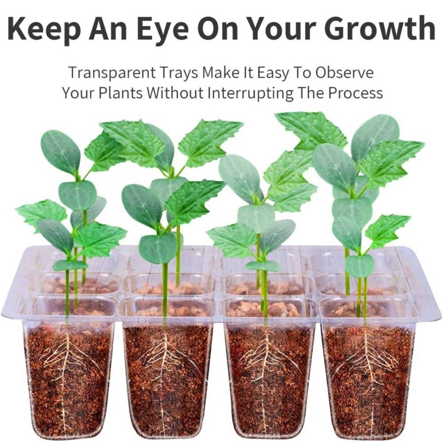 Starter Trays For Seeds | Plant Seedling Trays | Seedling Trays With Lids: image 7